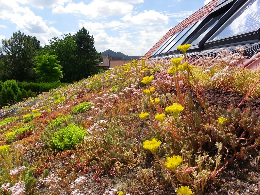 Fleur De Ciel Villa Loos-en-Gohelle Exterior foto